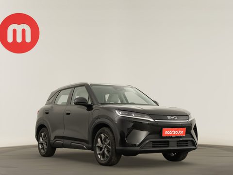 Byd Atto 2