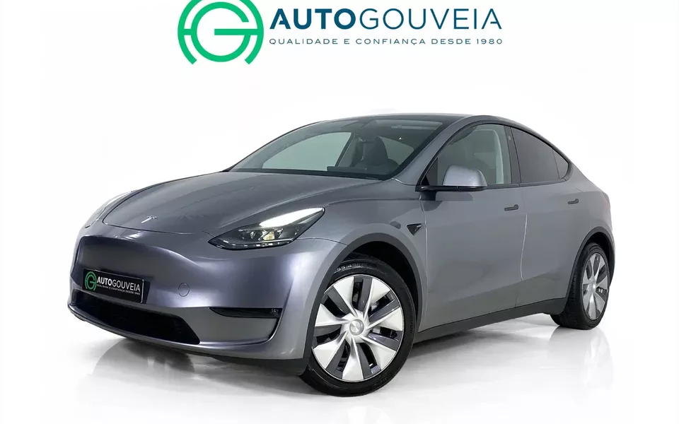 Tesla Model Y Long Range Dual Motor AWD
