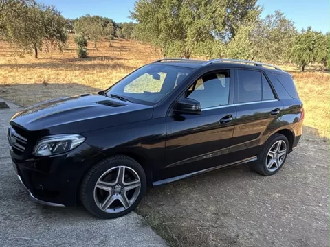 Mercedes-Benz GLE 250 d 4-Matic