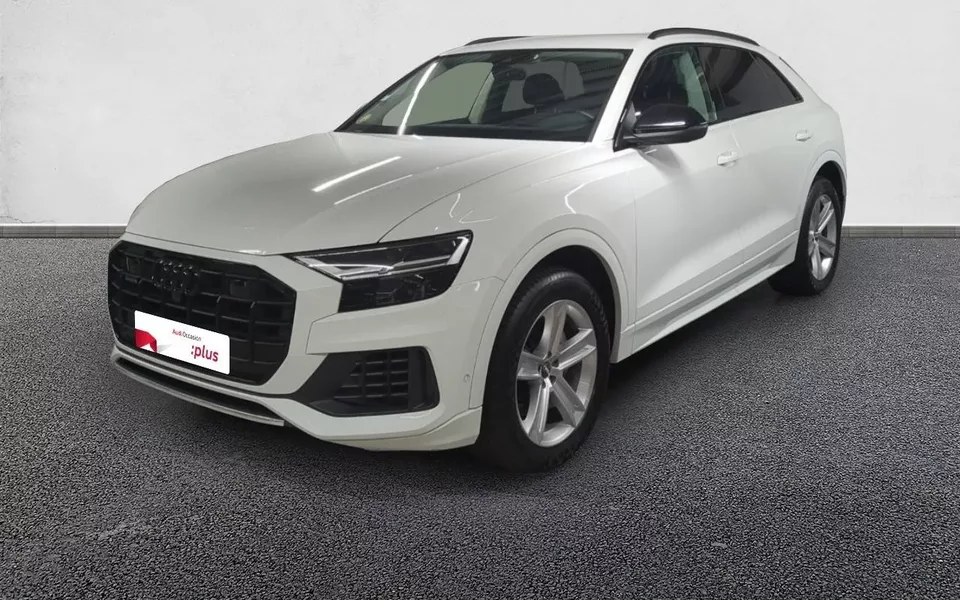 AUDI Q8 50 TDI 286 Tiptronic 8 Quattro Avus