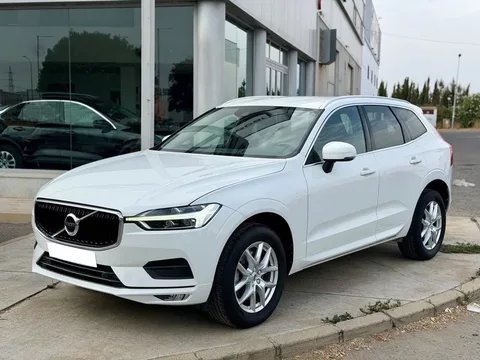 VOLVO XC60 2.0 B4 D 197cv Auto AWD Momentum Pro