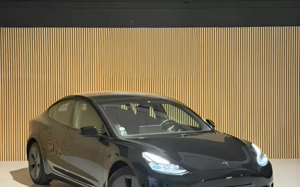 Tesla Model 3 Long Range Tração Integral
