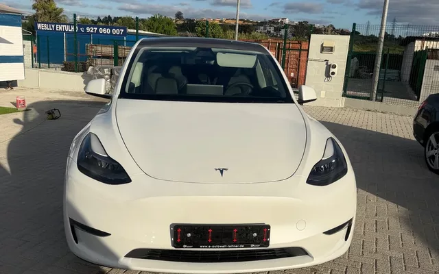 Tesla Model Y Long Range Dual Motor AWD