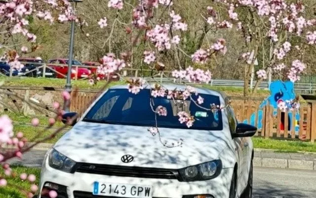 VOLKSWAGEN Scirocco Scirocco 1.4 TSI