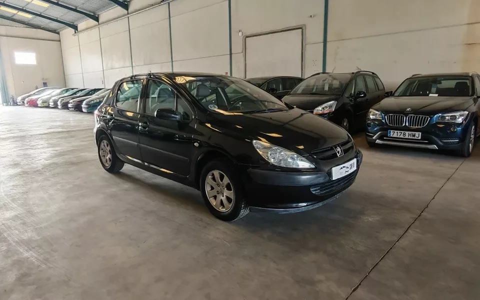 PEUGEOT 307 307 1.6i XR Clim Plus