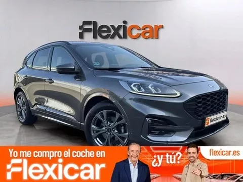 FORD Kuga Kuga 2.0 EcoBlue ST-Line FWD 120 Aut.