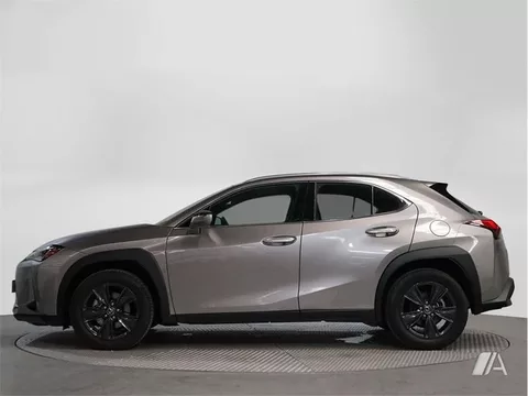 LEXUS UX 2.0 250h Business