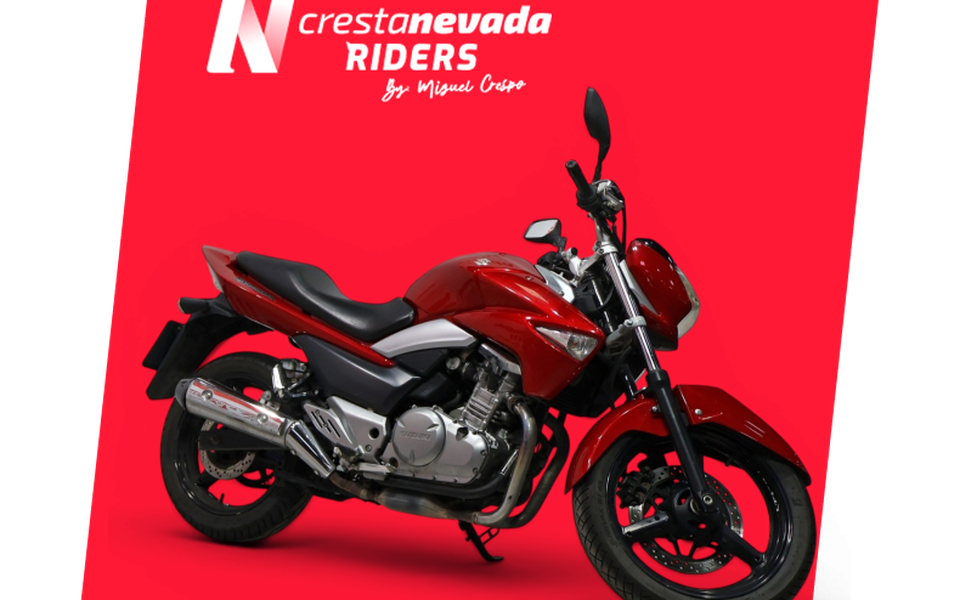 Suzuki INAZUMA 250