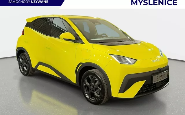 BYD Dolphin Surf