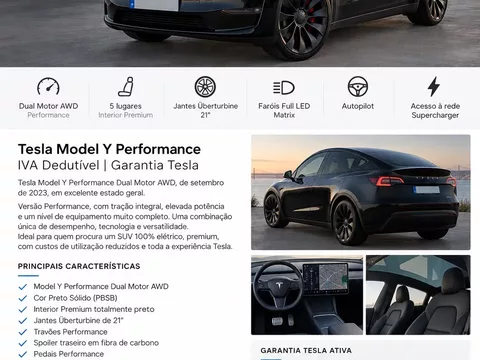Tesla Model Y Performance Dual Motor AWD