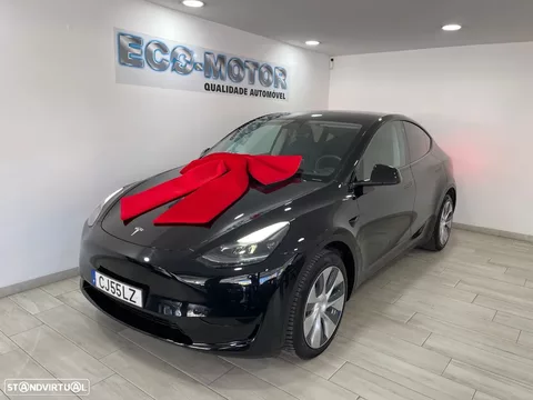 Tesla Model Y Standard