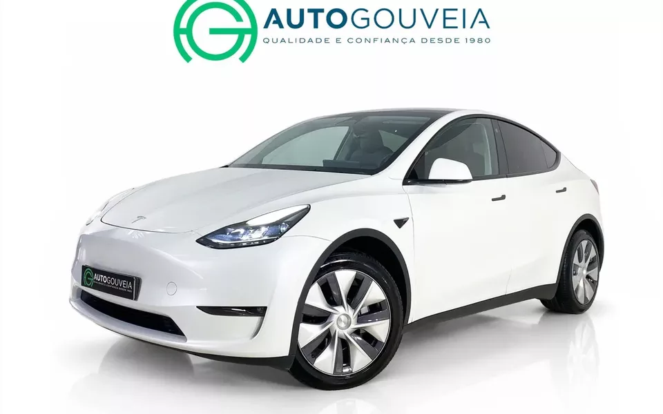 Tesla Model Y Long Range Tração Integral