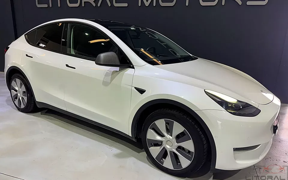 Tesla Model Y Long Range Dual Motor AWD