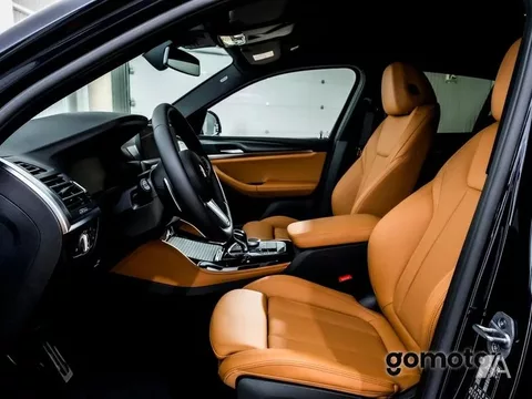 BMW X4 X4 xDrive 20dA xLine
