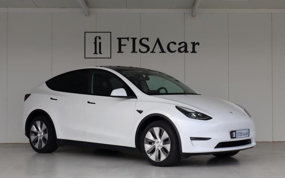 TESLA MODEL Y LONG RANGE DUAL MOTOR