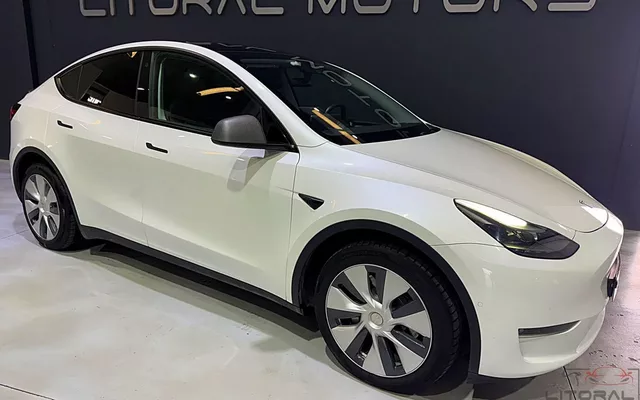 Tesla Model Y Long Range Dual Motor AWD