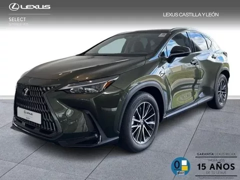 LEXUS NX 450H + PREMIUM + 4WD