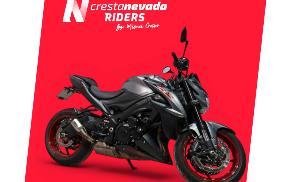 Suzuki GSX-S 1000