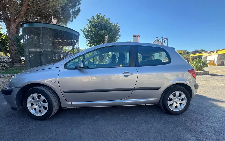 Peugeot 307