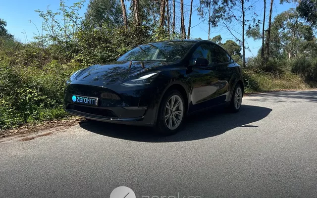 Tesla Model Y Long Range Dual Motor AWD