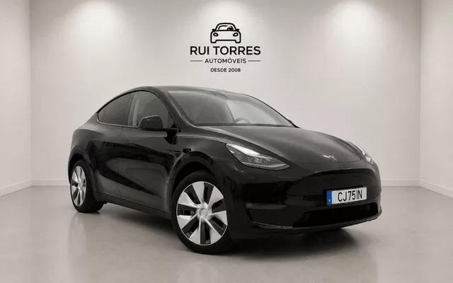 Tesla Model Y Long Range Dual Motor AWD