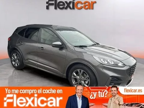 FORD Kuga Kuga 2.0 EcoBlue ST-Line FWD 120 Aut.