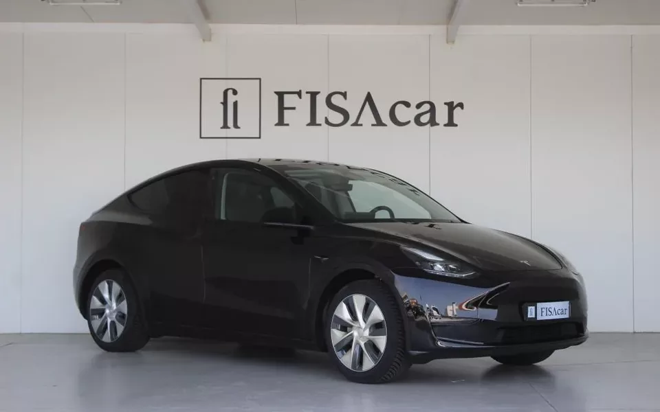 TESLA MODEL Y LONG RANGE DUAL MOTOR AWD
