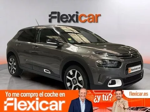 CITROEN C4 Cactus C4 Cactus 1.2 PureTech S&S Shine EAT6 110