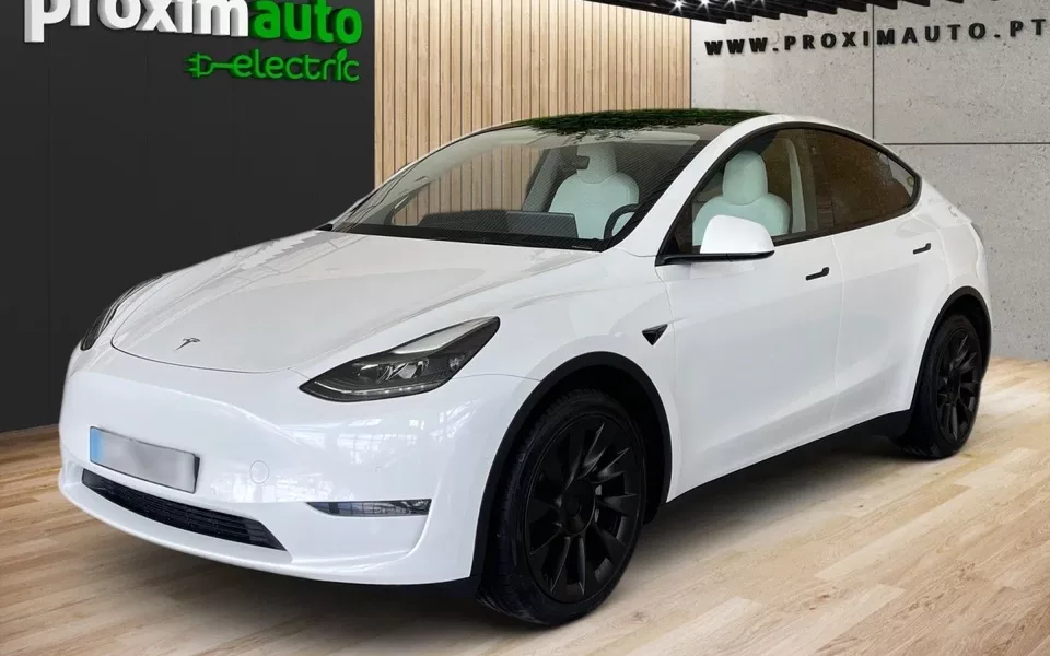 Tesla Model Y Long Range Tração Integral