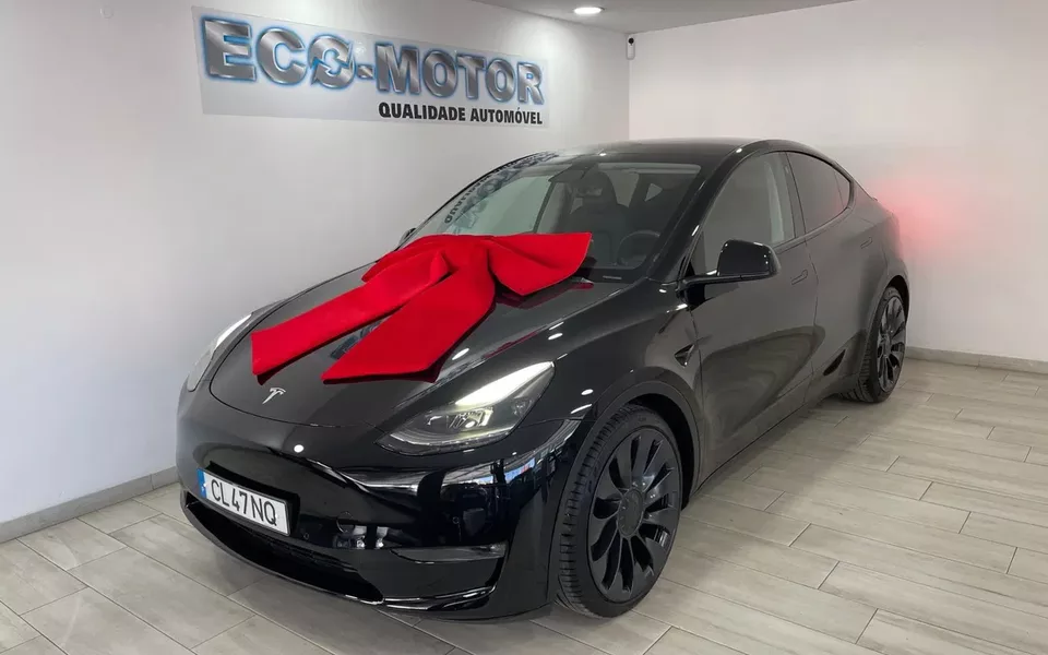 Tesla Model Y Performance Dual Motor AWD