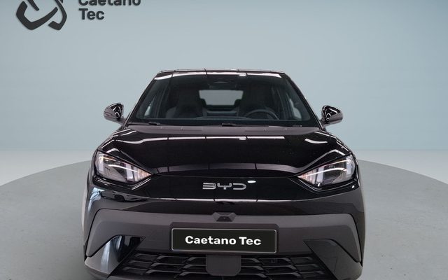 BYD Dolphin Surf