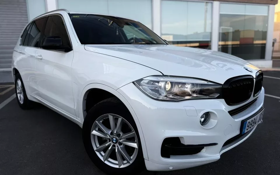 BMW X5 X5 sDrive 25dA