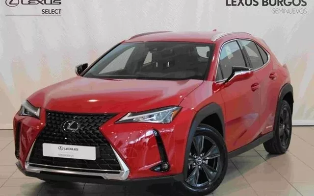 LEXUS UX Business