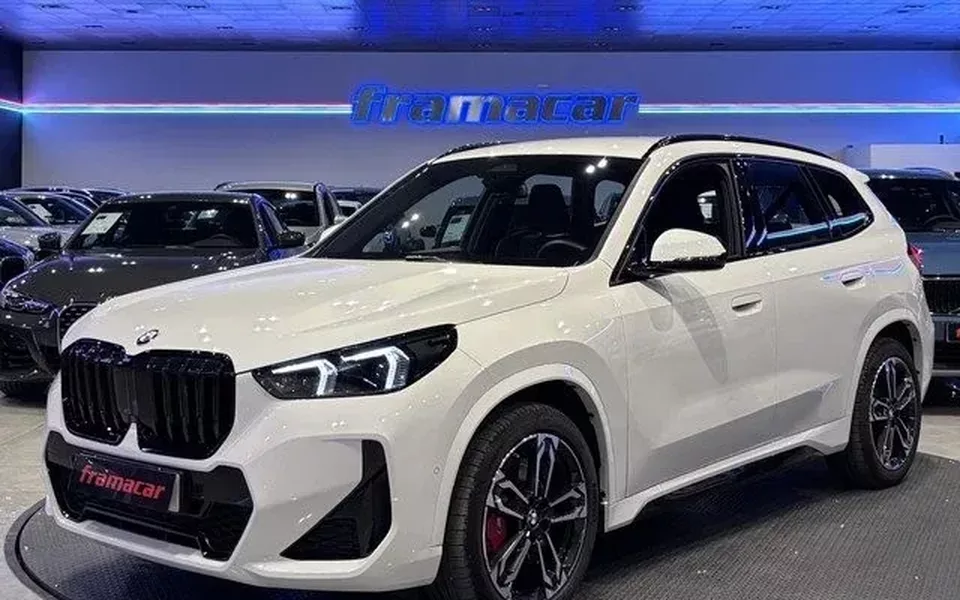 BMW X1 X1 xDrive 20dA