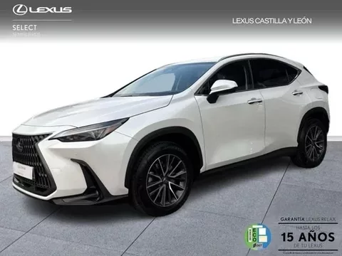 LEXUS NX NX 350h Premium+ 4WD