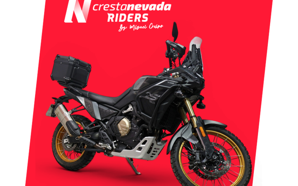VOGE DS 800 RALLY