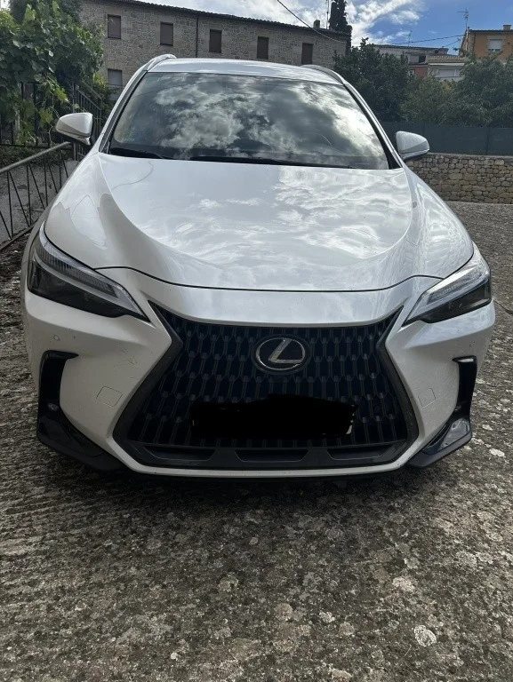 LEXUS NX NX 350h Business 2WD