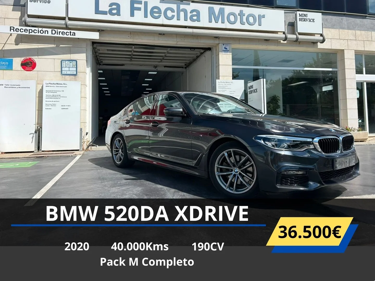 BMW Serie 5 520dA xDrive