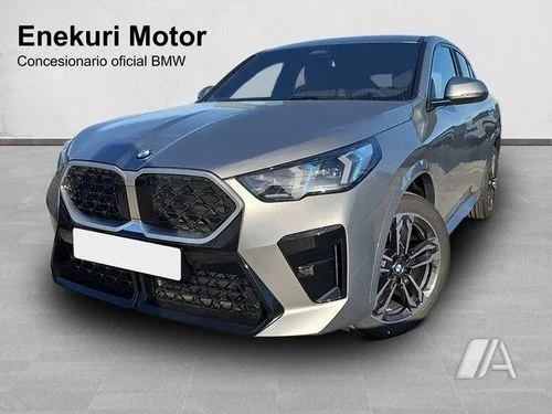 BMW X1 X1 xDrive25eA