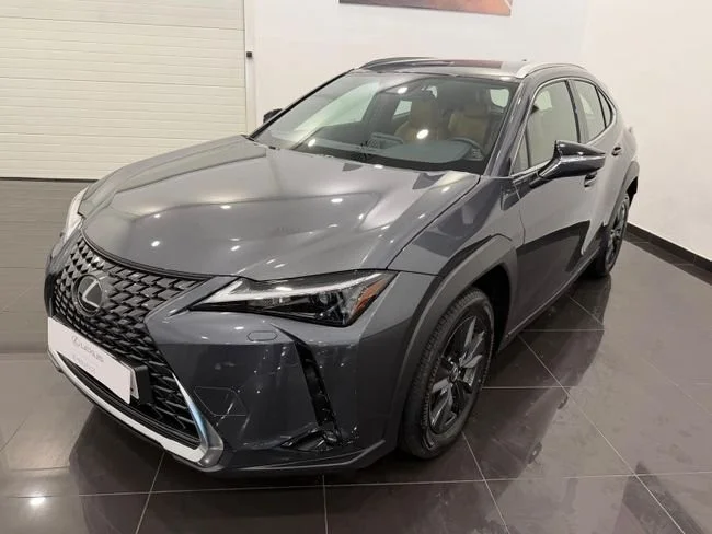 LEXUS UX UX 300h UX+