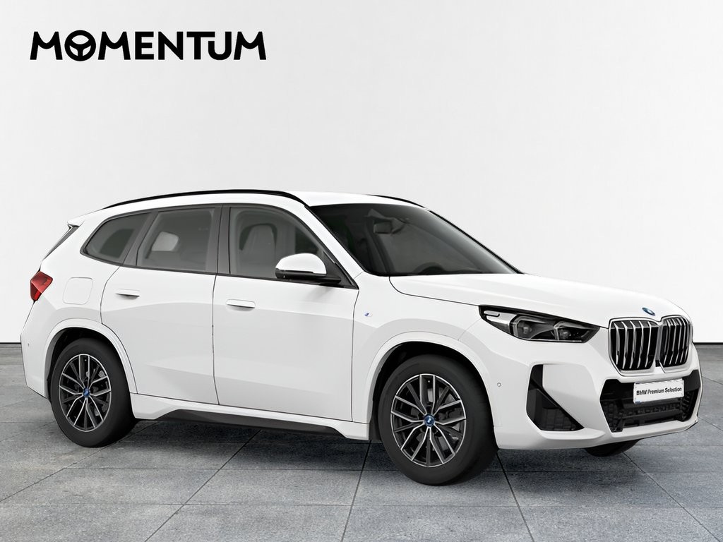 BMW X1 X1 xDrive25eA