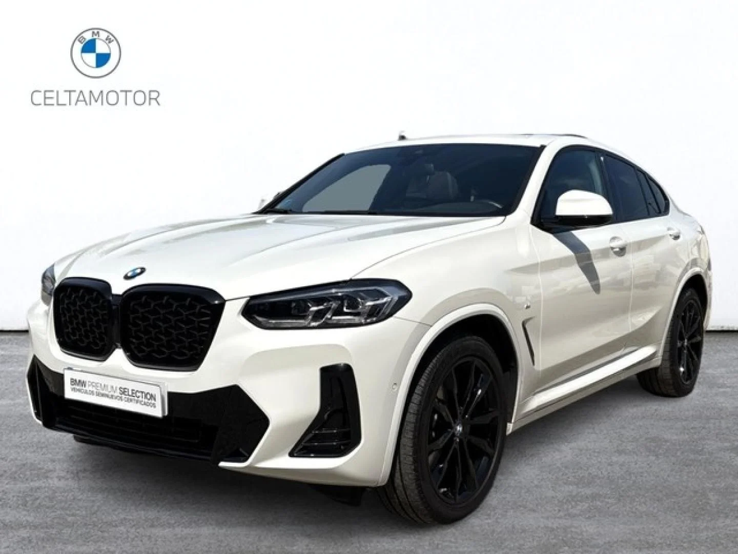 BMW X4 X4 xDrive 20dA xLine