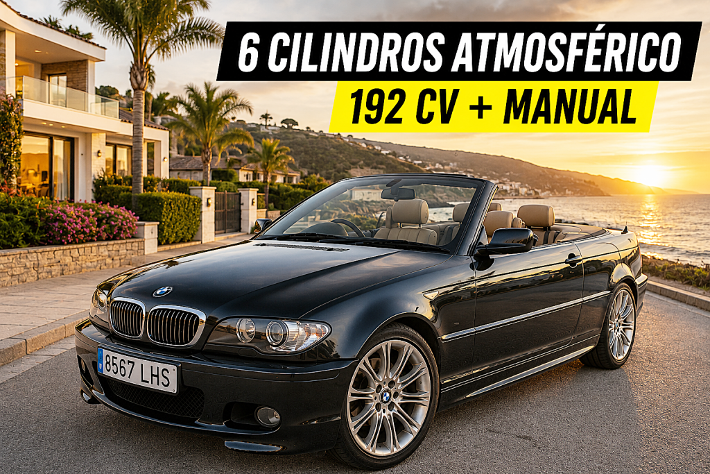 BMW Serie 3 325 Ci Cabrio