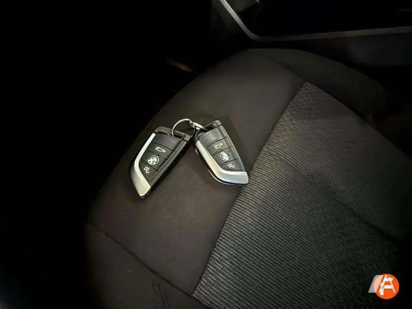 BMW X2 X2 sDrive 18iA