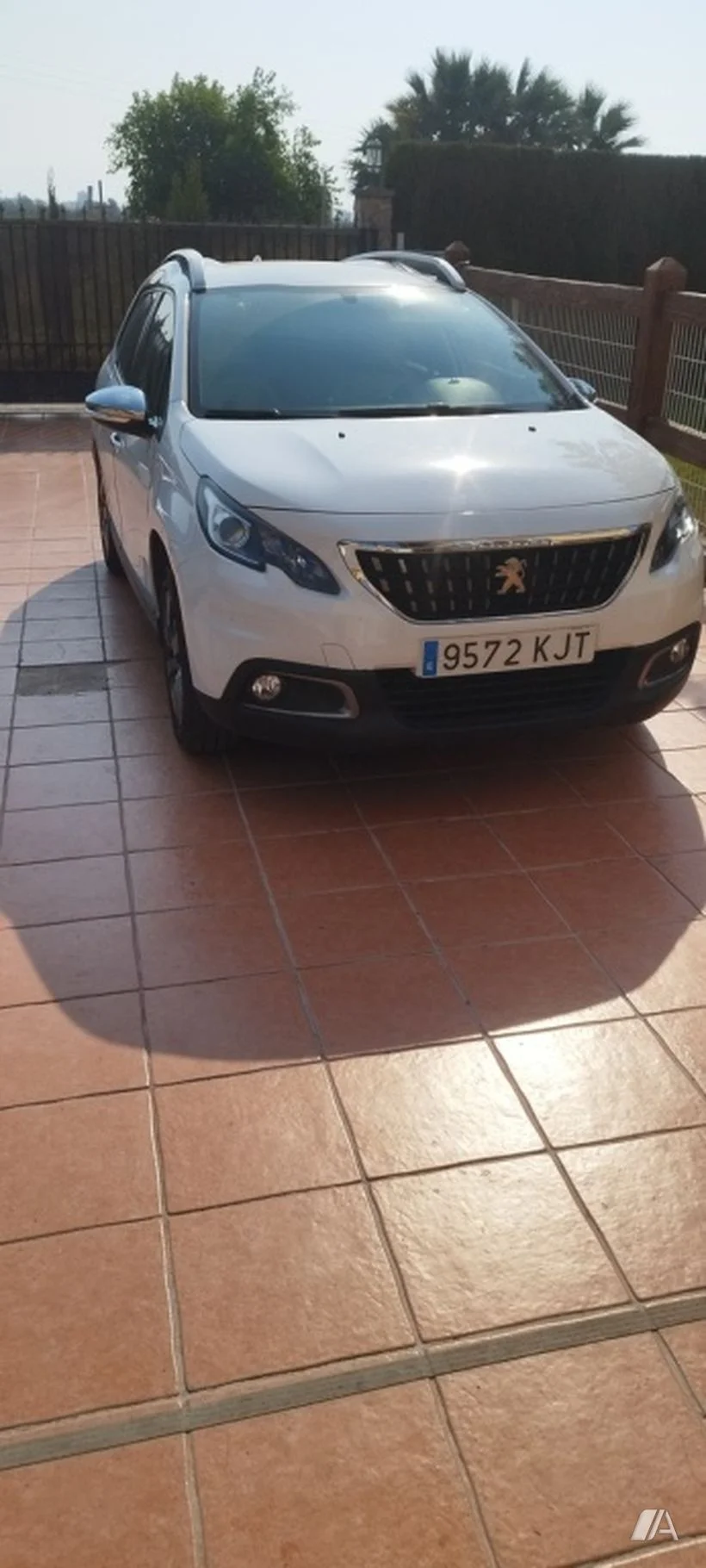 Foto 2