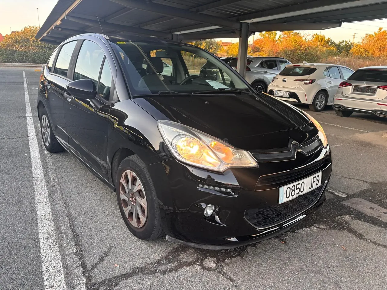 Foto 4