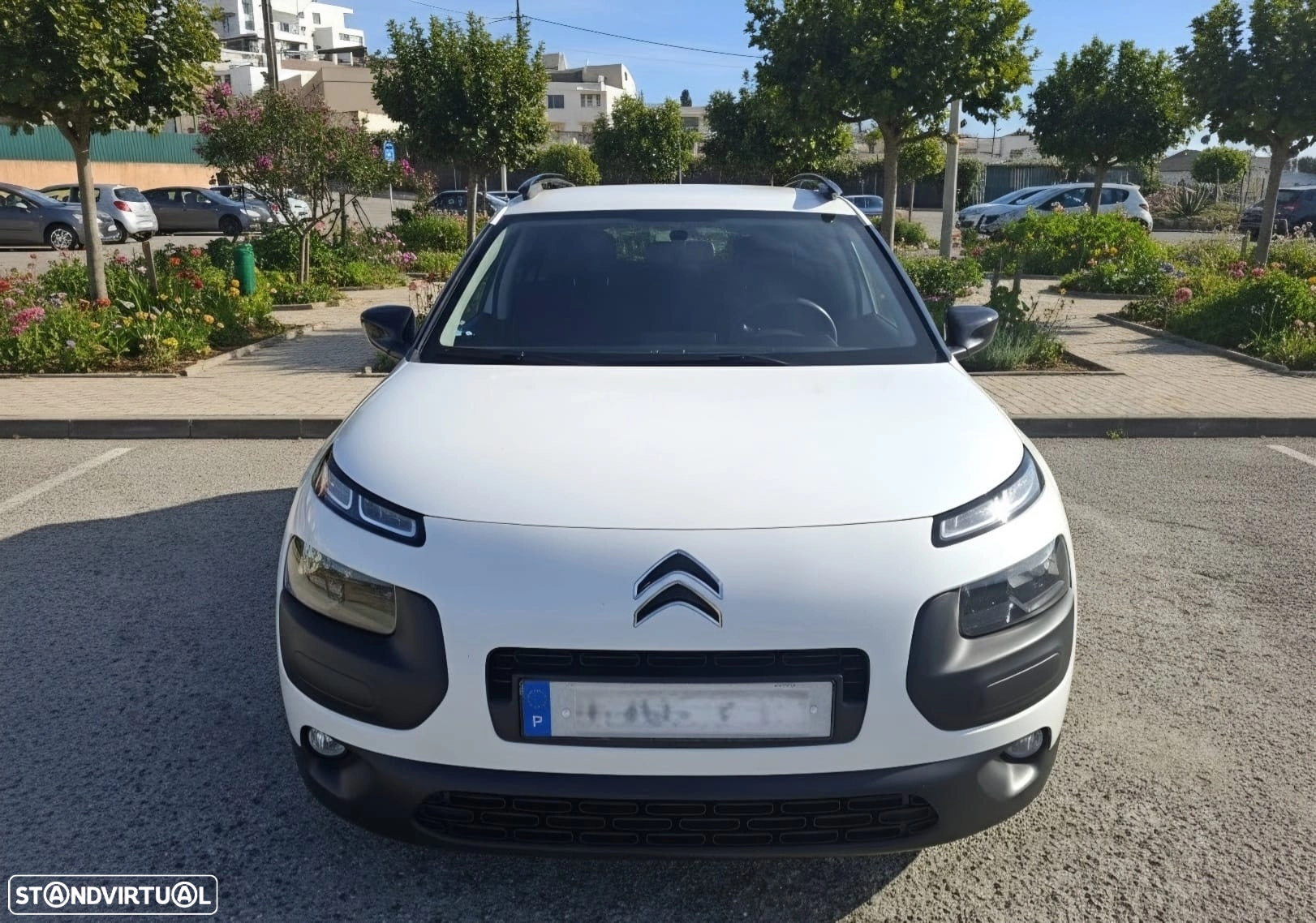 Foto 5
