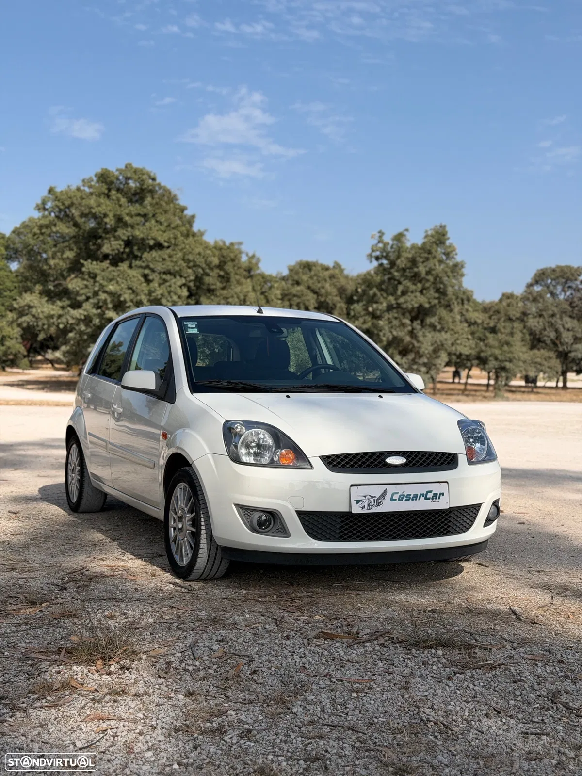 Ford Fiesta 1.4 TDCI Trend
