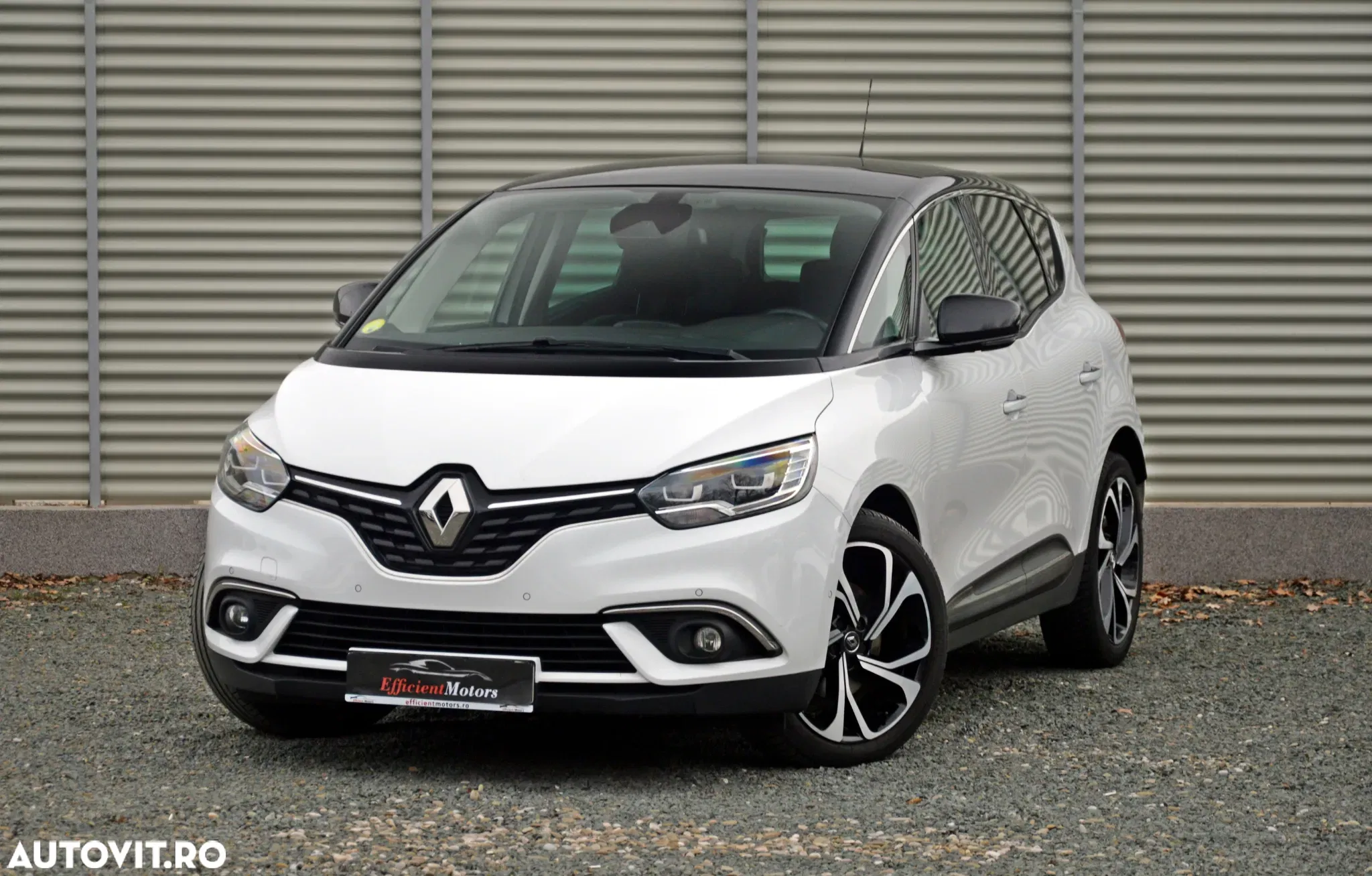 Renault Scenic BLUE 2019