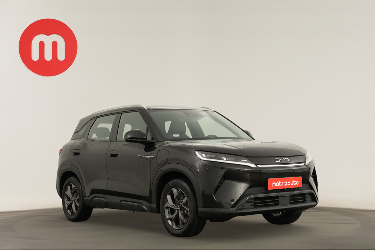 Byd Atto 2